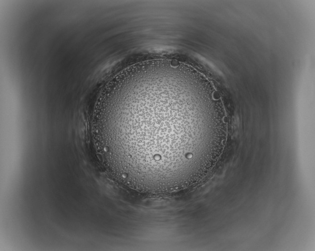 X0000112540917200908241524