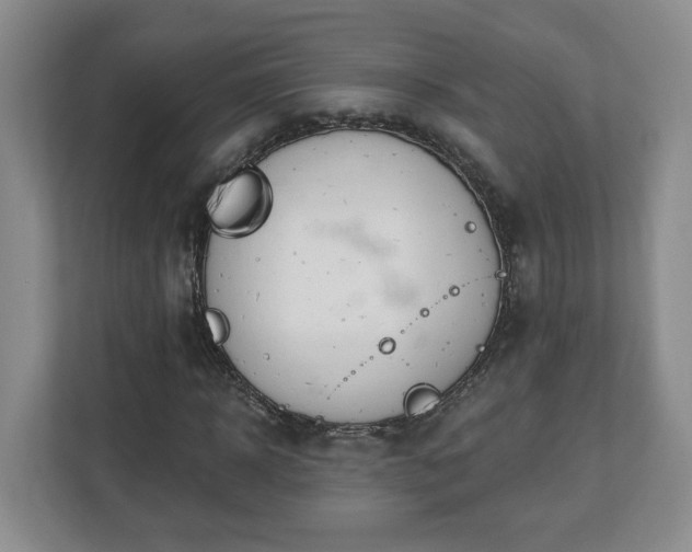 X0000112540918200908241524