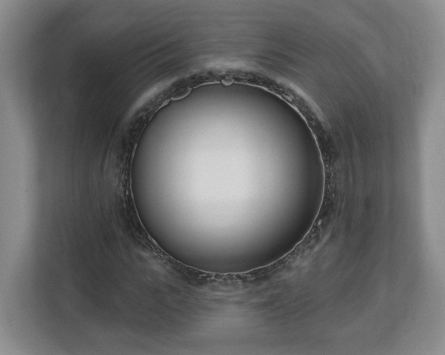 X0000112540919200908241524