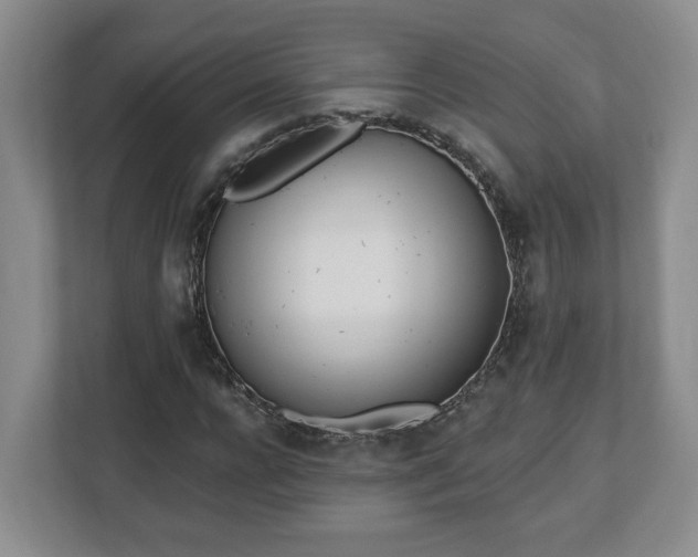 X0000112540920200908241524