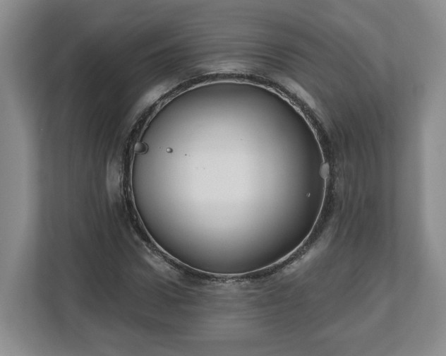 X0000112540922200908241524