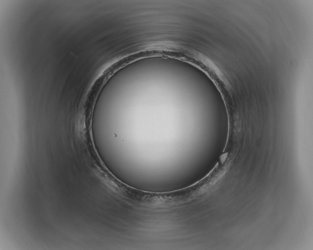 X0000112540923200908241524