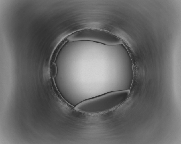 X0000112540924200908241524