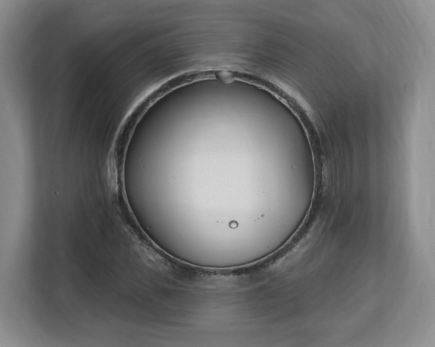 X0000112540925200908241524