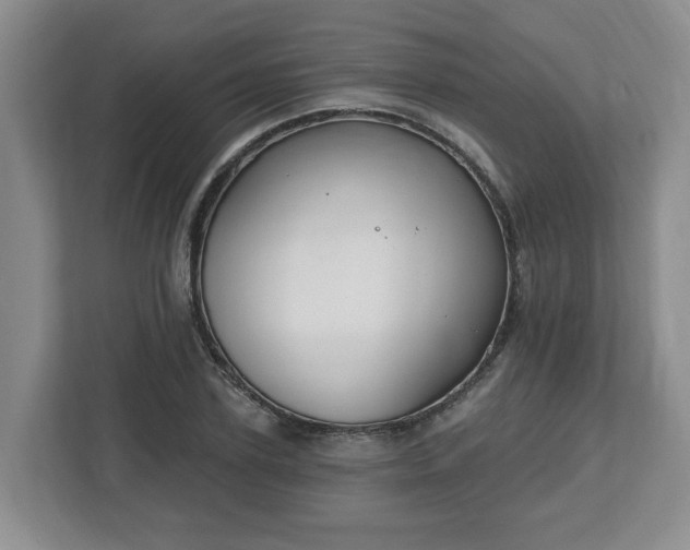 X0000112540931200908241524
