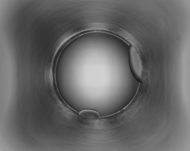 X0000112540936200908241524