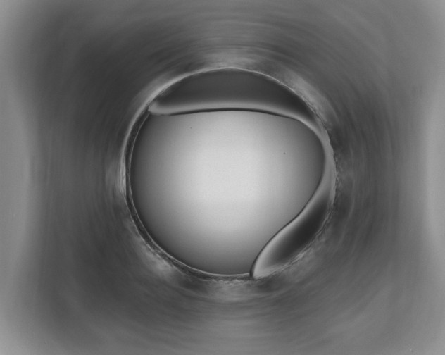 X0000112540940200908241524
