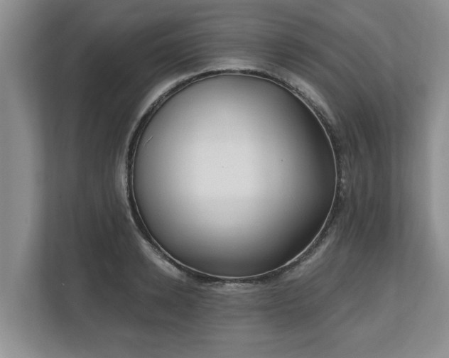 X0000112540942200908241524