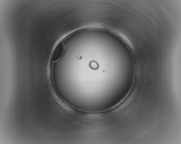 X0000112540944200908241524