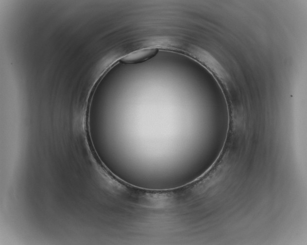 X0000112540946200908241524