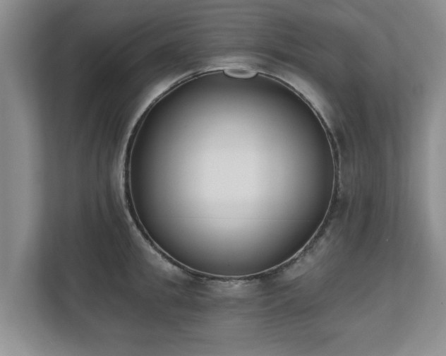 X0000112540949200908241524