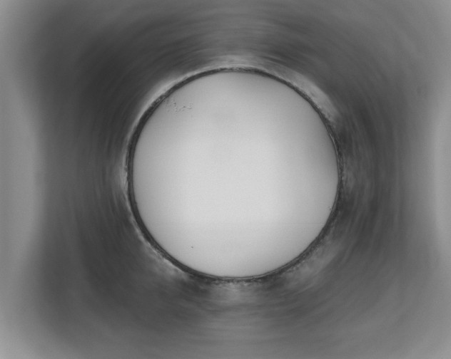 X0000112540950200908241524