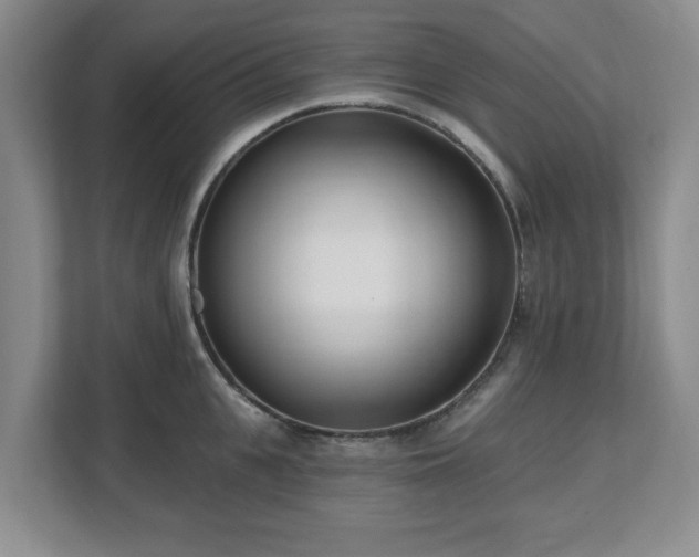 X0000112540951200908241524