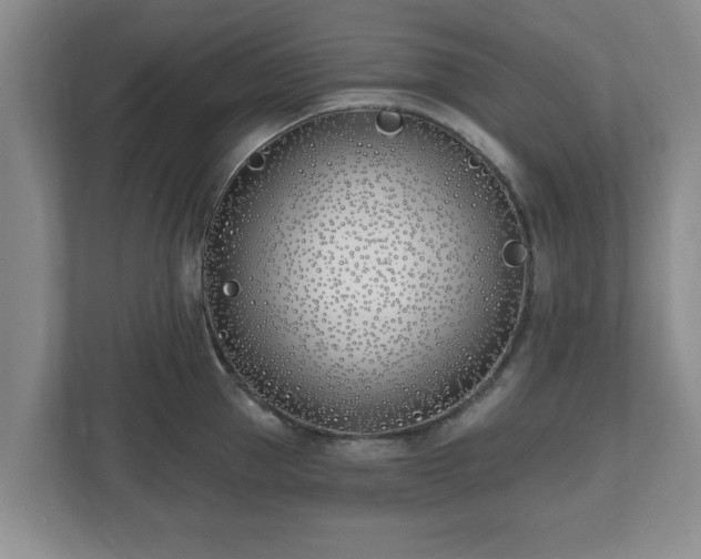 X0000112540953200908241524
