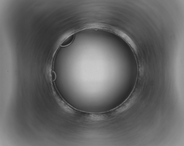 X0000112540954200908241524