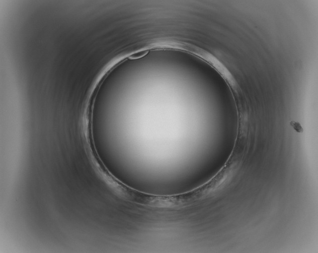 X0000112540955200908241524