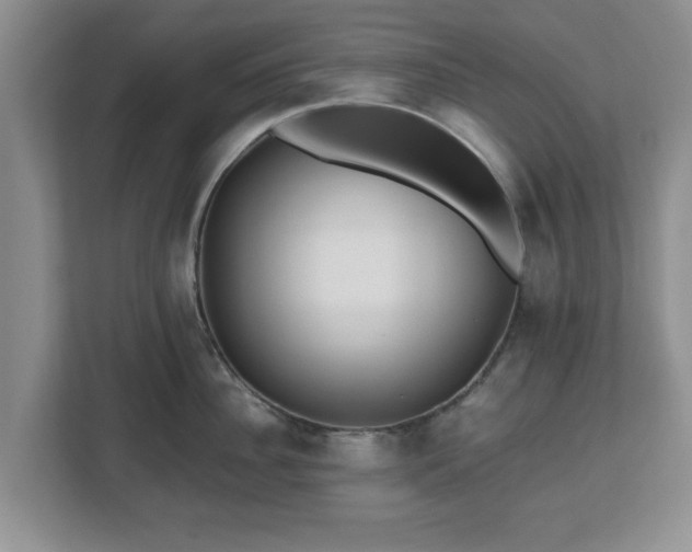 X0000112540956200908241524