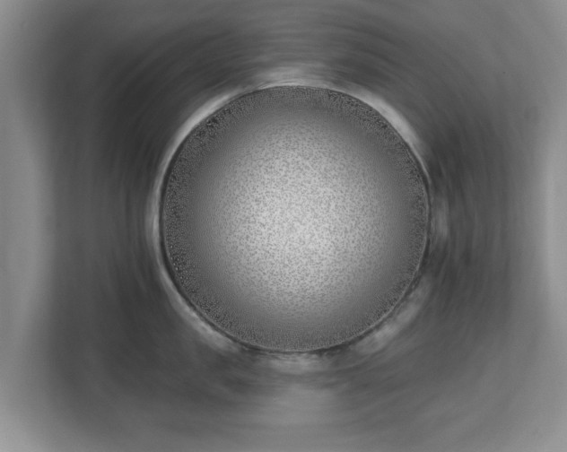 X0000112540957200908241524