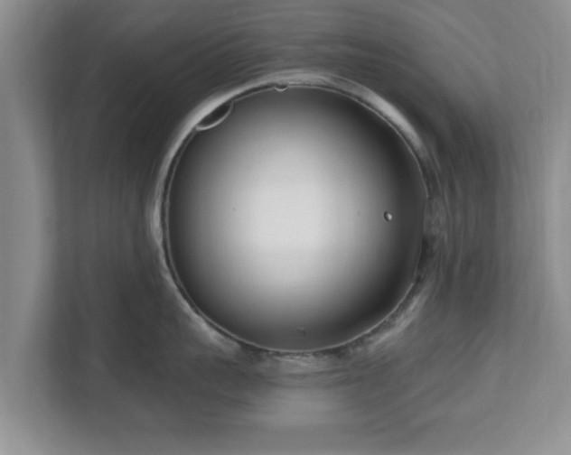 X0000112540959200908241524