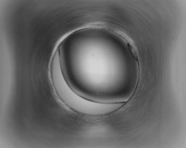 X0000112540960200908241524