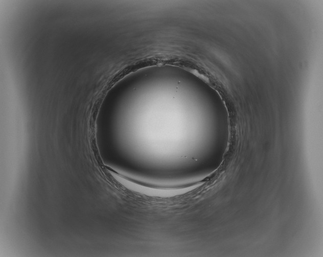 X0000112540961200908241523