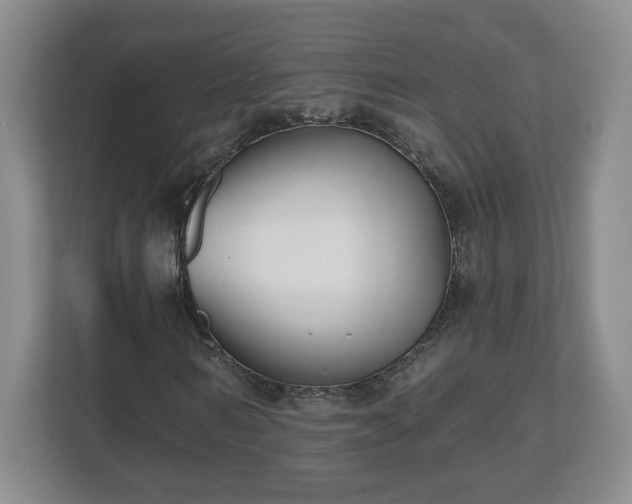 X0000112540962200908241523