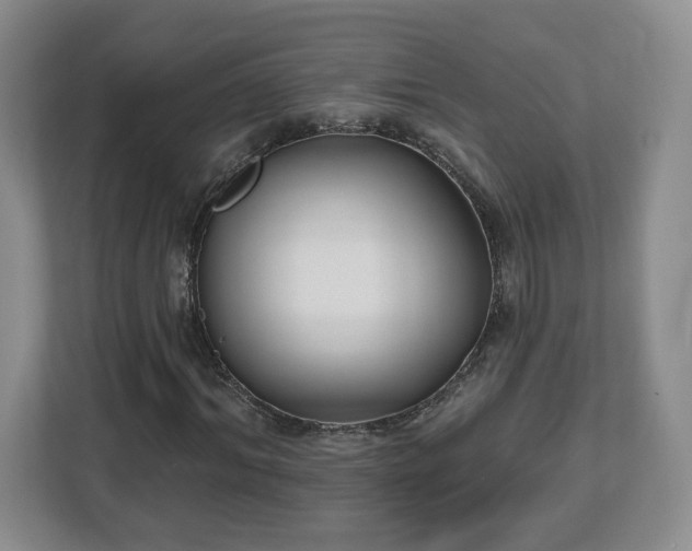 X0000112540964200908241523