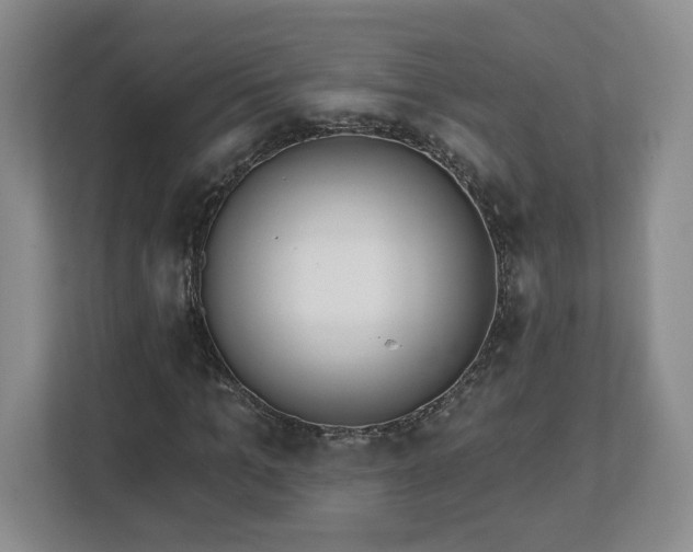 X0000112540965200908241523