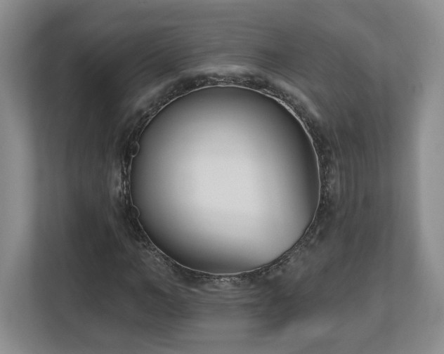 X0000112540966200908241523