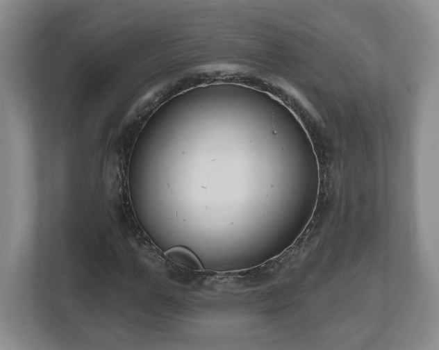 X0000112540967200908241523
