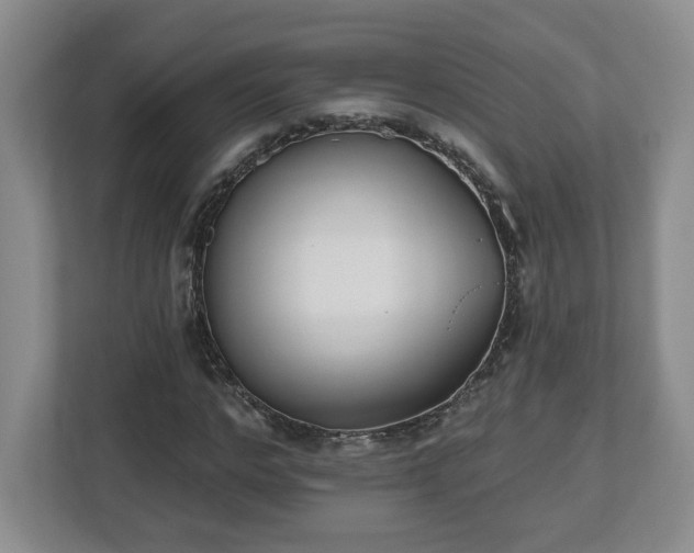 X0000112540968200908241523
