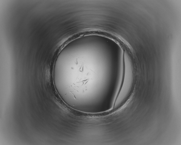 X0000112540969200908241523