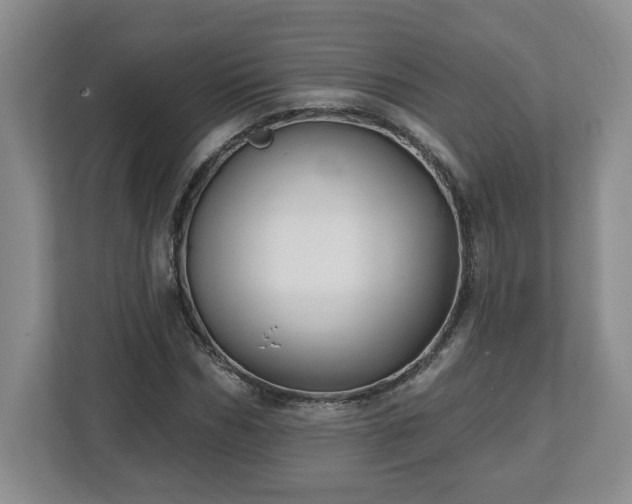 X0000112540970200908241523