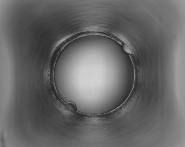 X0000112540971200908241523