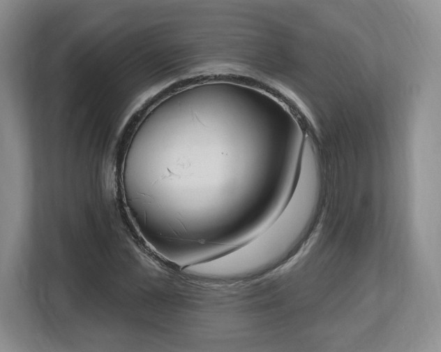 X0000112540973200908241523