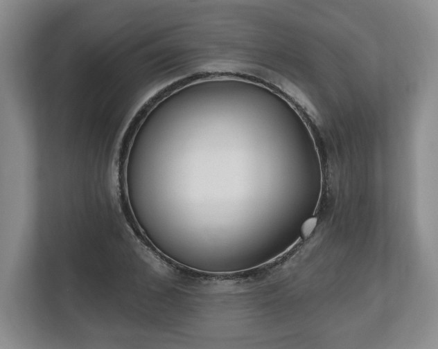 X0000112540976200908241523