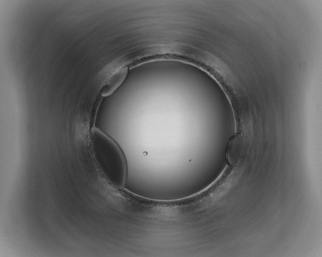 X0000112540977200908241523