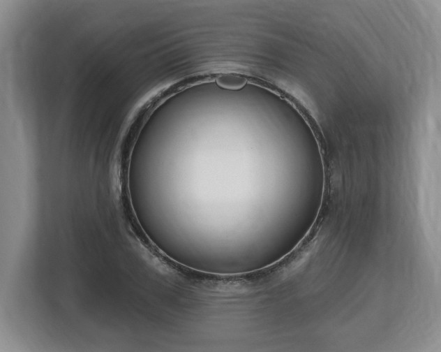 X0000112540979200908241523
