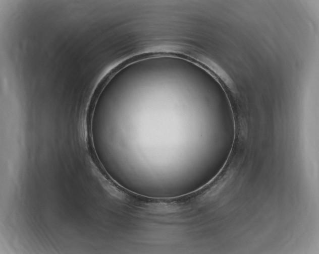 X0000112540980200908241523