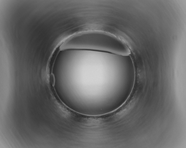 X0000112540981200908241523