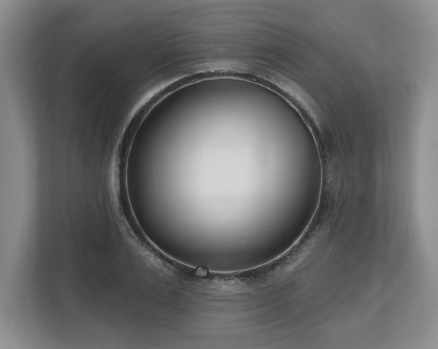 X0000112540983200908241523