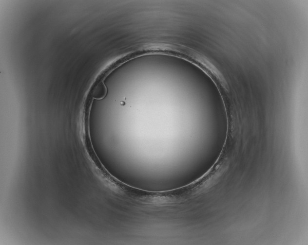 X0000112540984200908241523