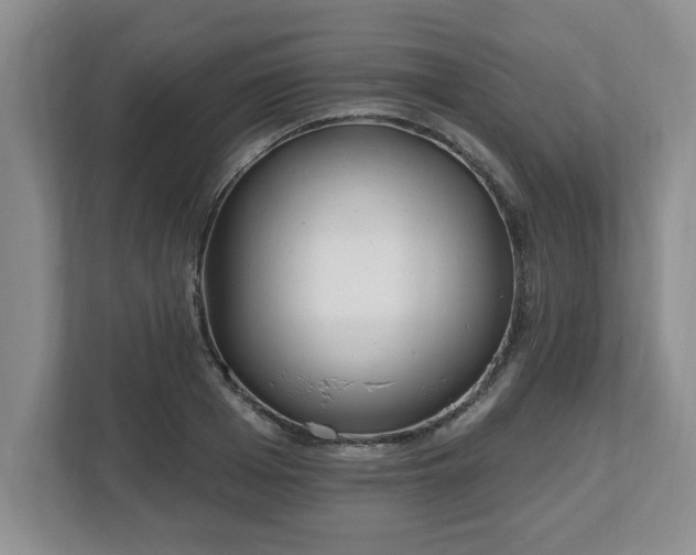 X0000112540985200908241523