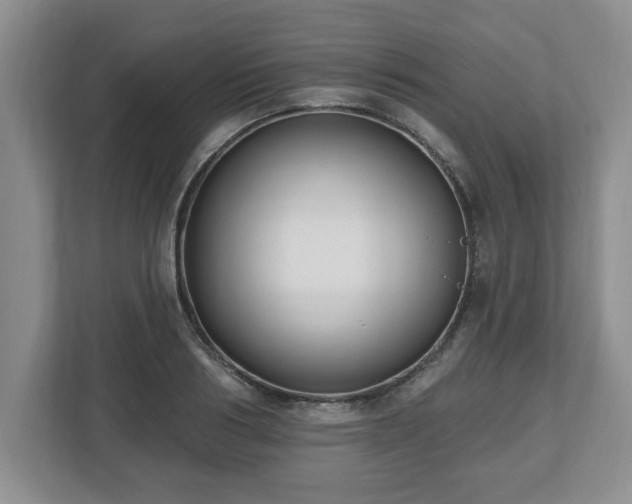 X0000112540986200908241523