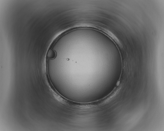 X0000112540988200908241523