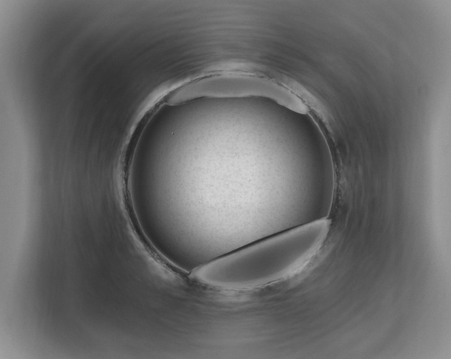 X0000112540989200908241523