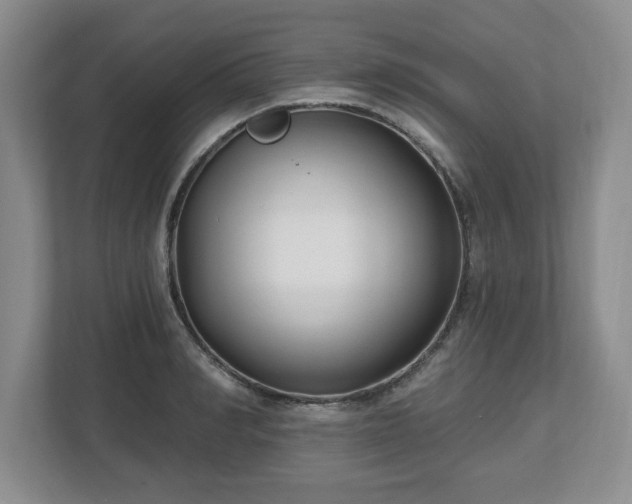 X0000112540990200908241523