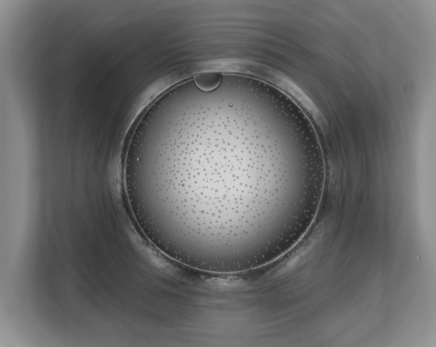 X0000112540994200908241523