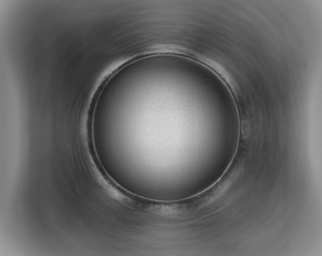 X0000112540995200908241523
