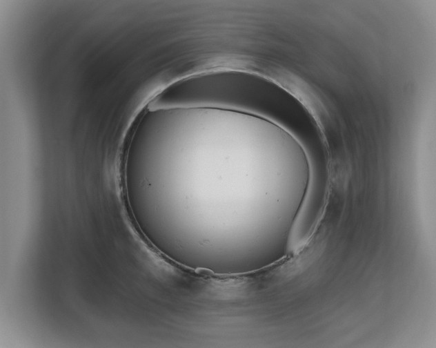 X0000112540997200908241523